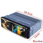 پخش کننده تصویری خودرو مدل 4011B